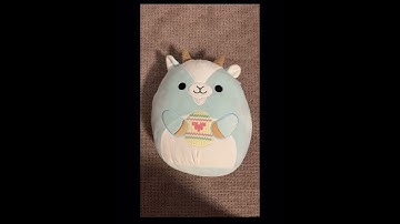 Squishmallow check!#squishmallows #shorts