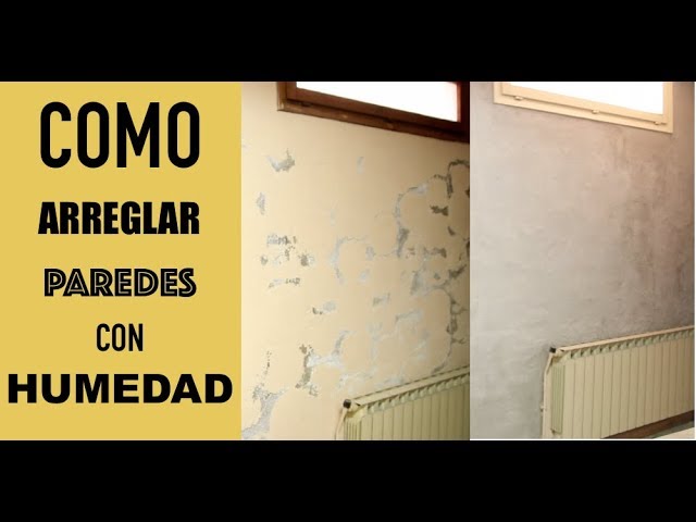 COMO TRATAR UNA PARED CON HUMEDAD 