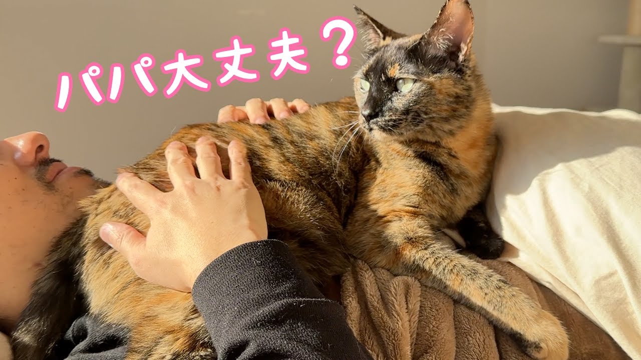 体調の悪いパパを看病してくれる優しいサビ猫モモちゃん