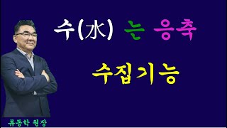 음양오행중 수(水)의 위치를 알아본다.