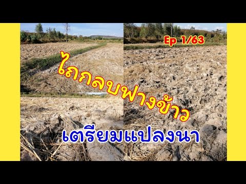 ไถกลบฟางข้าวสำหรับการเตรียมแปลงนาเพื่อทำนาประจำปี 2563