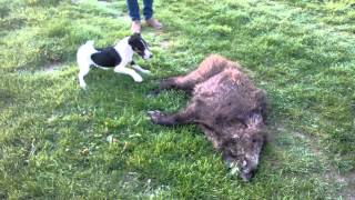 WP 20140505 170350Z