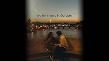 pov: you are falling in love with them [playlist]