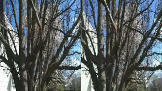 Kandaovr Qoocam EGO 3d test of autofocus