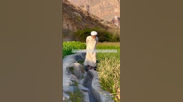 تلاوة خاشعة صباحية من الريف العماني بصوت المنشاوي