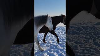 Бегать Холодно, Пошагаем