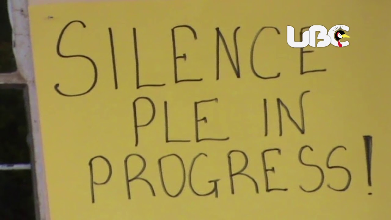 P. 7 PUPILS IN SHEEMA DISTRICT TO PASS WITH FLYING COLORS, TEACHERS SAY