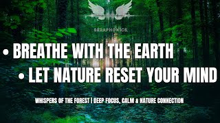 Whispers of the Forest | Deep Focus, Calm & Nature Connection | Seraphonics