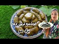 دلمه برگ مو و دو روش پیچیدن آن Stuffed Grape Leaves 