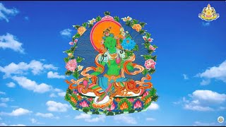 Tara Visualization LEVEL I - Drukpa Lineage
