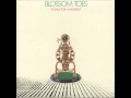 Blossom Toes - Peace Loving Man