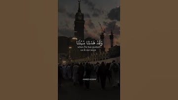 تلاوة خاشعة ومؤثرة للشيخ #اسلام_صبحي #ريحانة_قرآن #تلاوة_خاشعة #قرآن #quran
