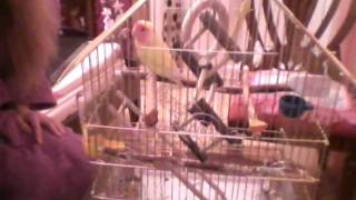 Capture 20110301