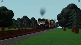 NS 39G with 1111