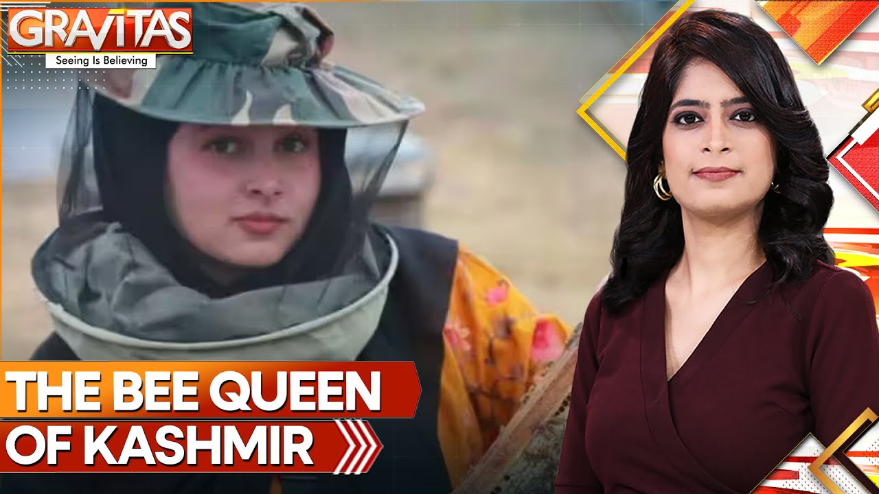 Bee Queen Of India's Jammu & Kashmir | World News | GRAVITAS