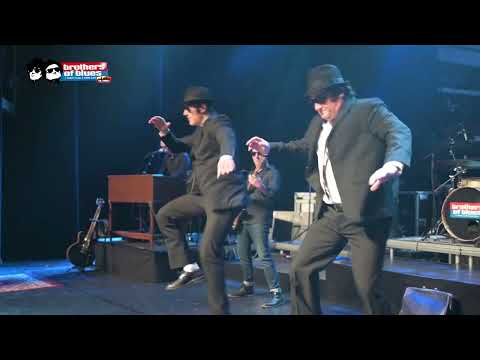 Videovoorbeeld: Brothers of Blues — promovideo