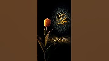 قال ﷺ :من قرأ سورة الكَهف في يومِ الجمعةِ أضاء لهُ من النورِ ما بين الجُمعتين