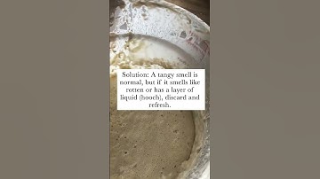 3 Easy Fixes for Common Sourdough Starter Problems