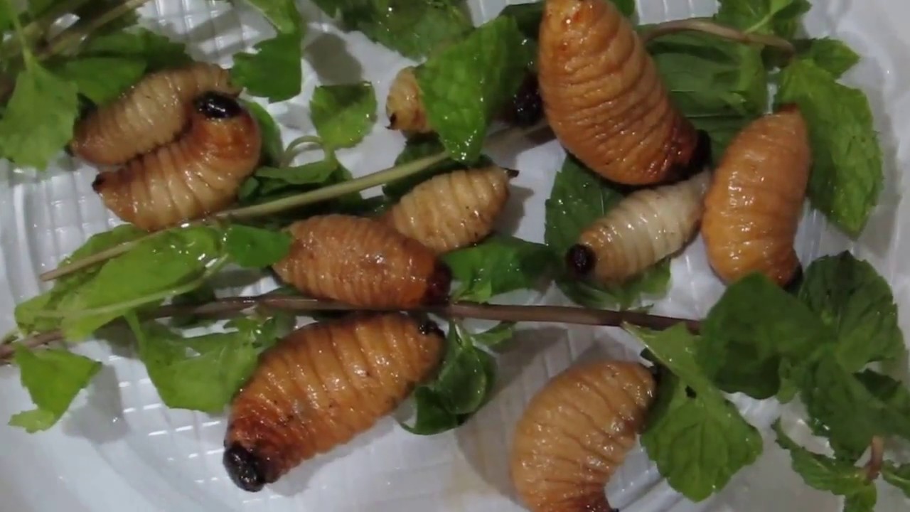 Fried Coconut Worm - Đuông Dừa Chiên Giòn - Youtube