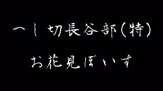 へし切長谷部(特)＆(極) お花見ボイス