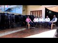 12 ते 18 लीटर दूध देणाऱ्या म्हशी कुठे मिळतात | Murrah Buffalo Farming Maharashtra #farming