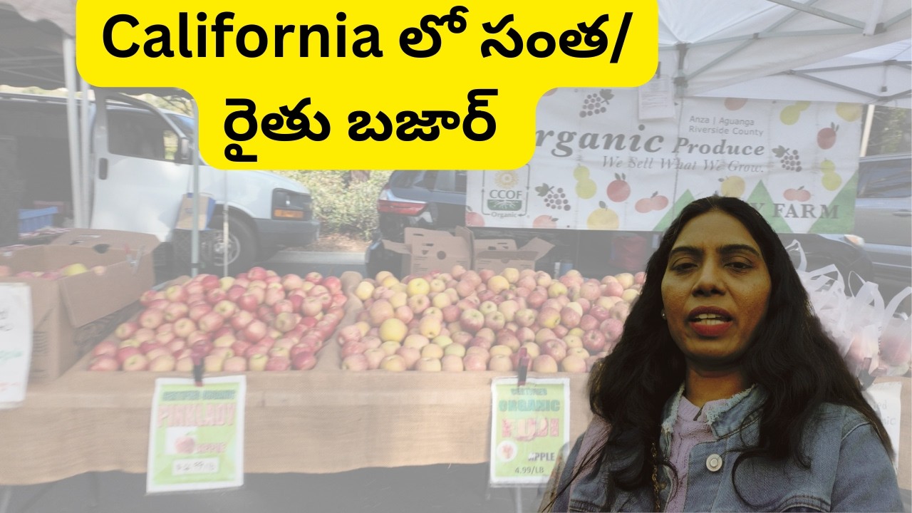 Farmers market in the famous city of Irvine, California.