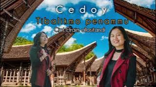 Tibalikmo penammu lagu toraja, cover by cedoy