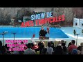 Show de Aves Tropicales / Acuario de Mazatlán, Sinaloa