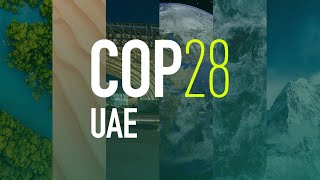 Corporate climate programs and projects. Approaches to climate change adaptation and mitigation.