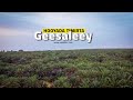 Beerta Timirta Ee Ugu Qadiimsan Dhulka Soomaalida Somalia S First Date Farm Beerta Timirta Ee Ugu Qadiimsan Dhulka Soomaalida Somalia S First Date Farm