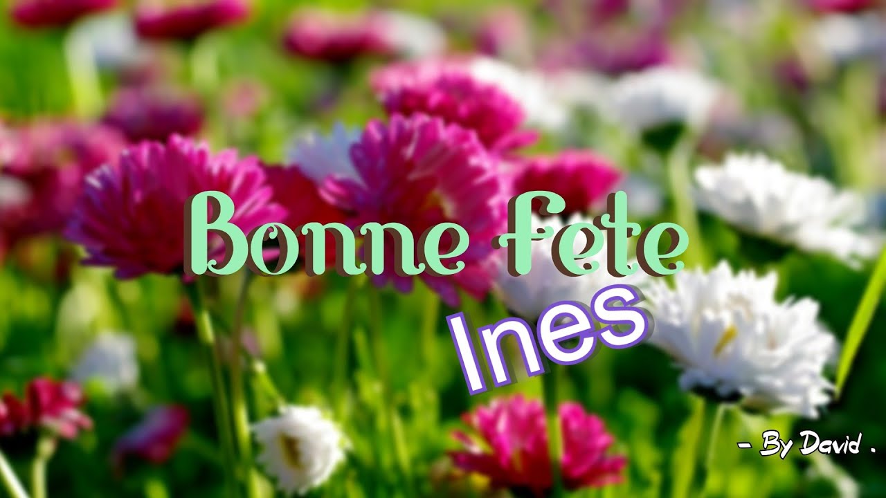 Bonne Fete Ines Avec Enseigne Lumineuse Cabrating Ines Name With Illuminated Sign Youtube