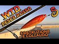 Wtd a Pesce Rosso | Costruzione, Collaudo e Cappotto con umiliazione!