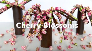 POMELO DIY  CHERRY BLOSSOMS