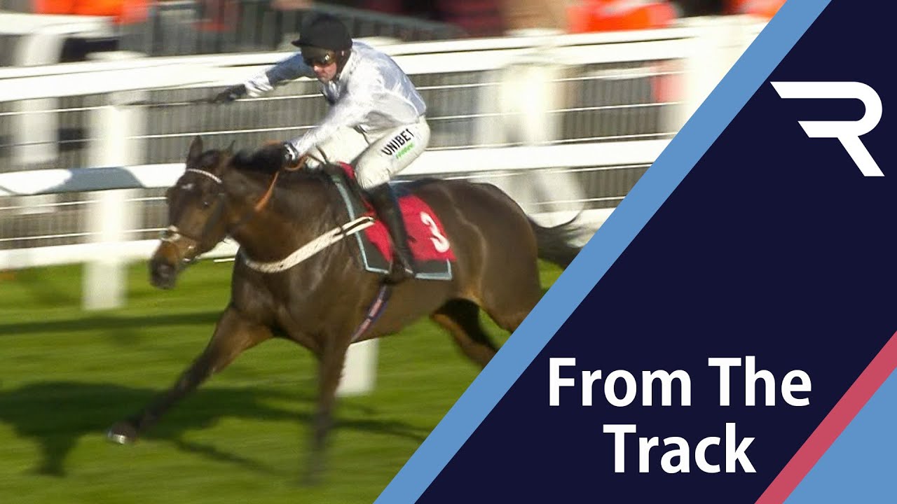 Remember the name! Constitution Hill looks a potential star for Nicky Henderson - Racing TV