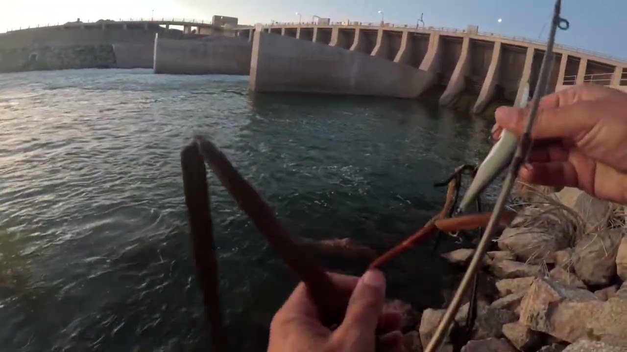 Bass Fishing with Miguel Rivas with Special Guest Kevin Ferreira Episode 10 #BassSlayers