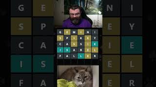 What's this cat's name?? #adoptle July 27, 2023