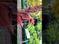 💔 Sorry Darling… Galti Ho Gayi 😔1 Minute Emotional Love Story ❤️🩹Editor Vibes + Sad Feelings