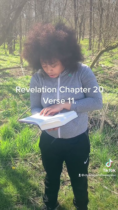 revelation-chapter-20-verse-11-miming-mime-jesusisgod-bible