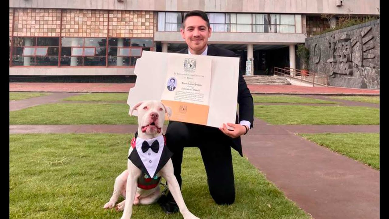 El perro que conquistó a toda la universidad por ir a la graduación de su  dueño con esmoquin