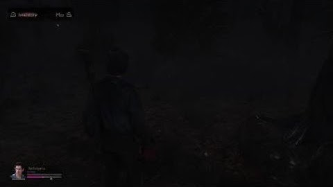 Evil Dead: The Game BUG!!!!!!
