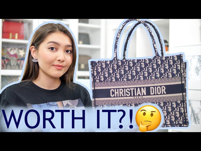 Dior Book Tote Review - Life with NitraaB