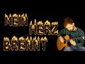 (Rammstein) - Mein Herz Brennt - Fingerstyle guitar cover + TABS