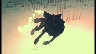 A wolf has become unhappy because it has been flareguned.