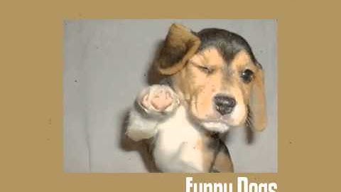 Full Circle Intro Video