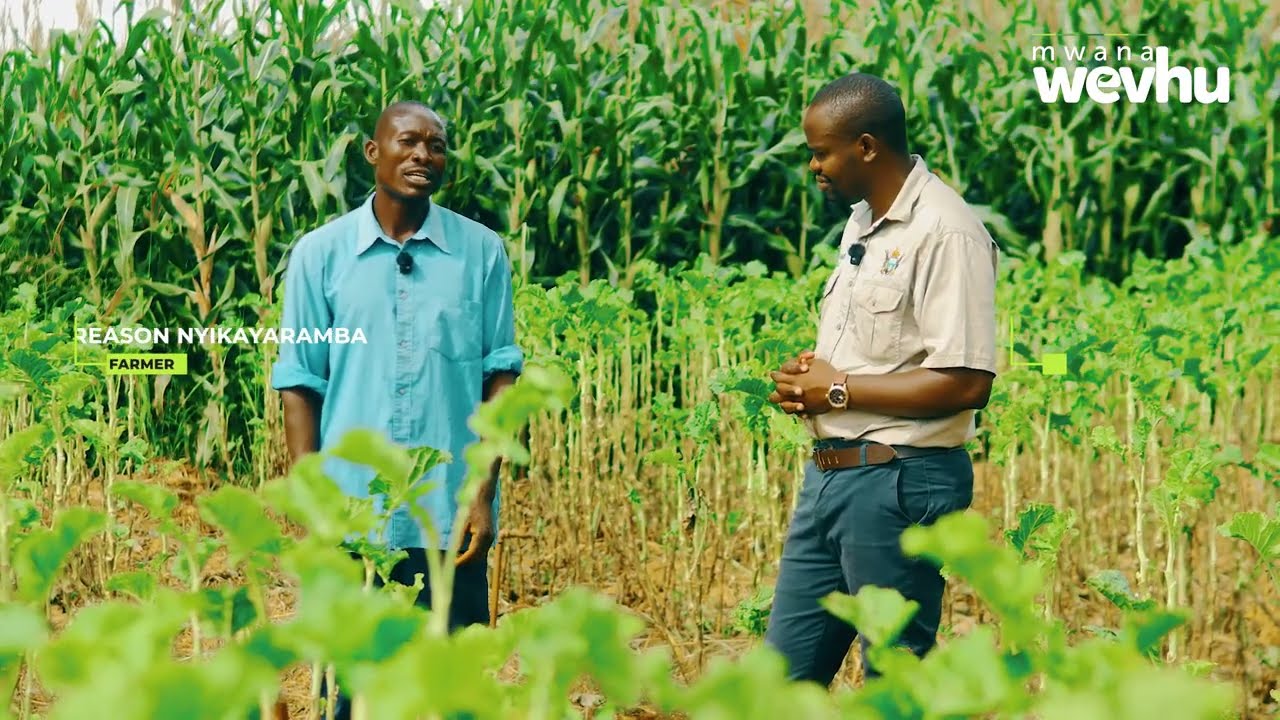 He Started as a Highway Vendor — Now He Makes Money Growing Covo Vegetables