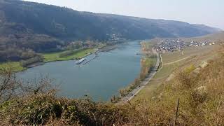 Enkirch an der  Mosel tut gut.Freitag 27.3.2020