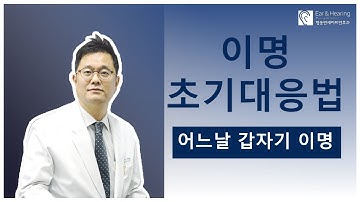 이명 - 귀에서 갑자기 삐소리가 들리기 시작했다면?