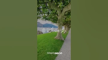 إن للمتقين مفازا * حدائق وأعنابا * وكواعب أترابا * وكأساً دهاقا | إسلام صبحي | سورة النبأ