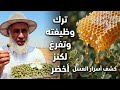 كشف أسرار العسل قصة مهندس ترك وظيفته لأجل كنز أخضر الشفلح ببراري السعودية وتطلبه أوروبا بالاسم 