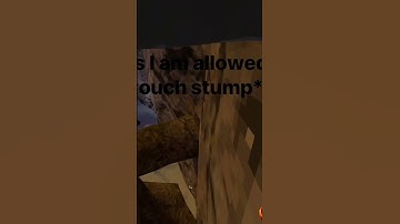 Day 2 of wall running around the map until 500 subscribers